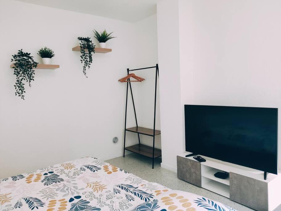 Magnifique Appartement T3 50 M2 Obernai Dış mekan fotoğraf